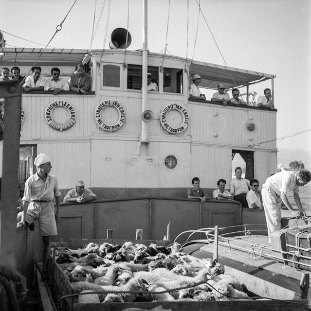 Rion Antirion ferry. 