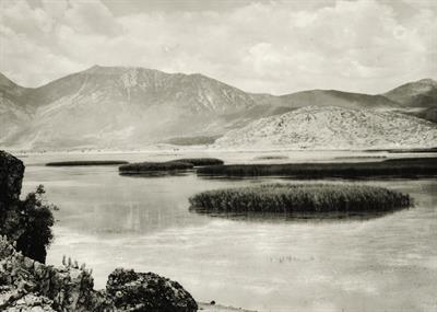Peloponnese, Lake Stymphalia. Photographic copy from a glass plate of Fred Boissonnas, c. 1903-1923. The glass plate is at the Museum of Photography in Thessaloniki.