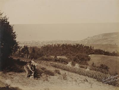 Άποψη της Τραπεζούτας από το Σοούκ-Σου (Κρυονέρι). Το Κρυονέρι, κατάφυτος λόφος πέντε χιλιόμετρα νοτιοδυτικά της Τραπεζούντας, έγινε θέρετρο της εύπορης τάξης μετά το 1883. Φωτογραφία των Αδελφών Κακούλη, δεκαετία 1890.