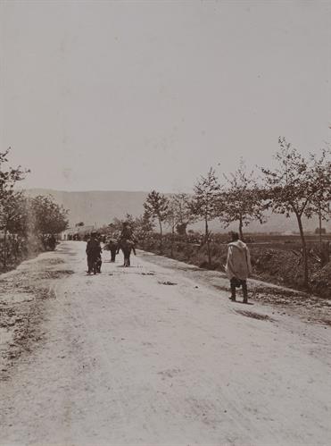 Κρήτη. Ο δρόμος της Σούδας στα Χανιά. Φωτογραφία, 1909.