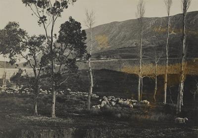 Κρήτη. Το εσωτερικό του ναυστάθμου της Σούδας και στο βάθος το βουνό Ψάρι. Φωτογραφία, 1909.