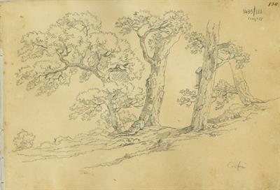 Κέρκυρα, εξοχικό τοπίο με δέντρα και εικονοστάσι (;), του Γεράσιμου Πιτζαμάνου, μολύβι σε χαρτί, 1818/1820.