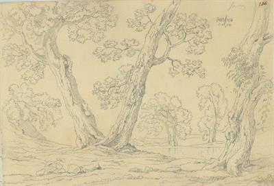 Παρόχθιο δάσος, του Γεράσιμου Πιτζαμάνου, μολύβι σε χαρτί, 1818/1820.