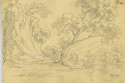 Παρόχθιο εξοχικό τοπίο με καλαμιές, του Γεράσιμου Πιτζαμάνου, μολύβι σε χαρτί, 1818/1820.